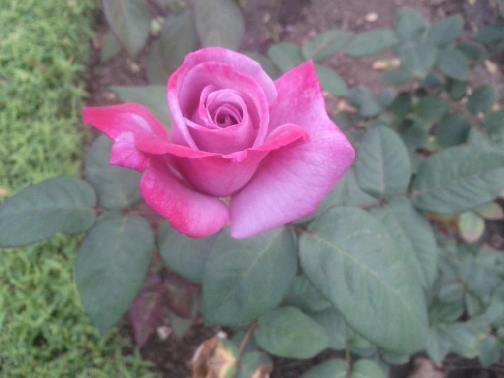 Jheelam Homestay Bhopal Ngoại thất bức ảnh