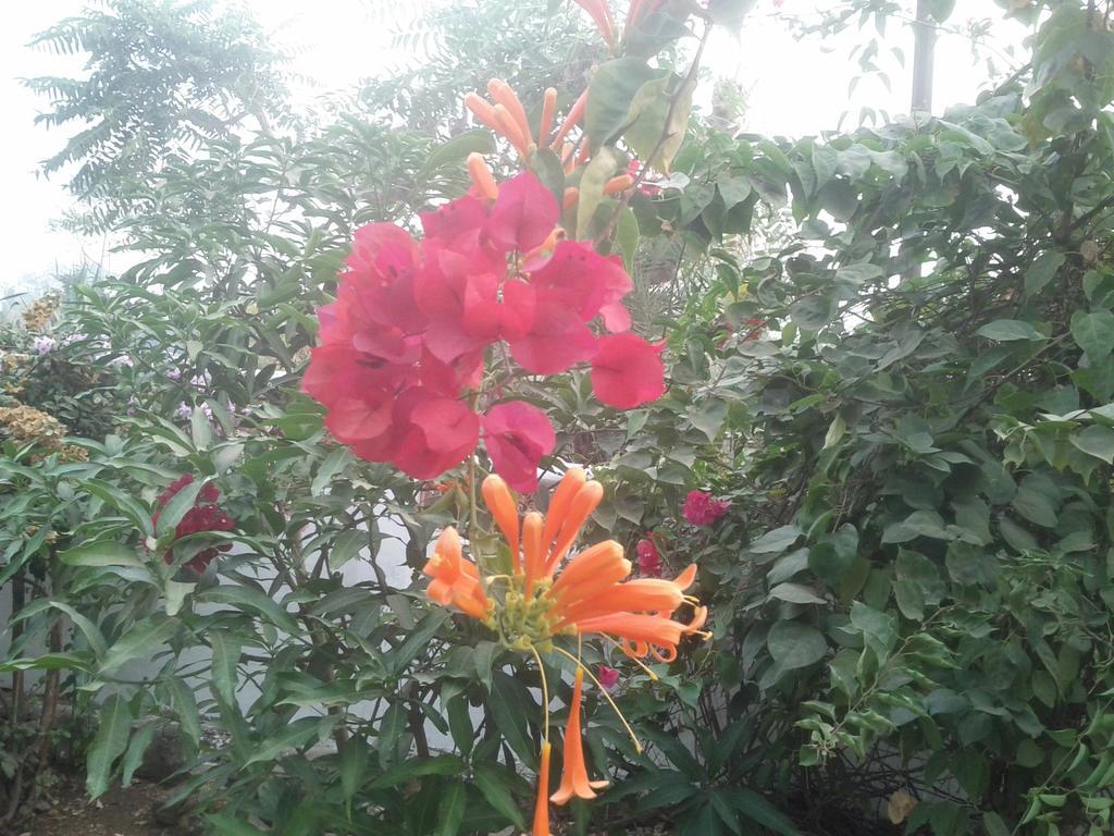 Jheelam Homestay Bhopal Ngoại thất bức ảnh