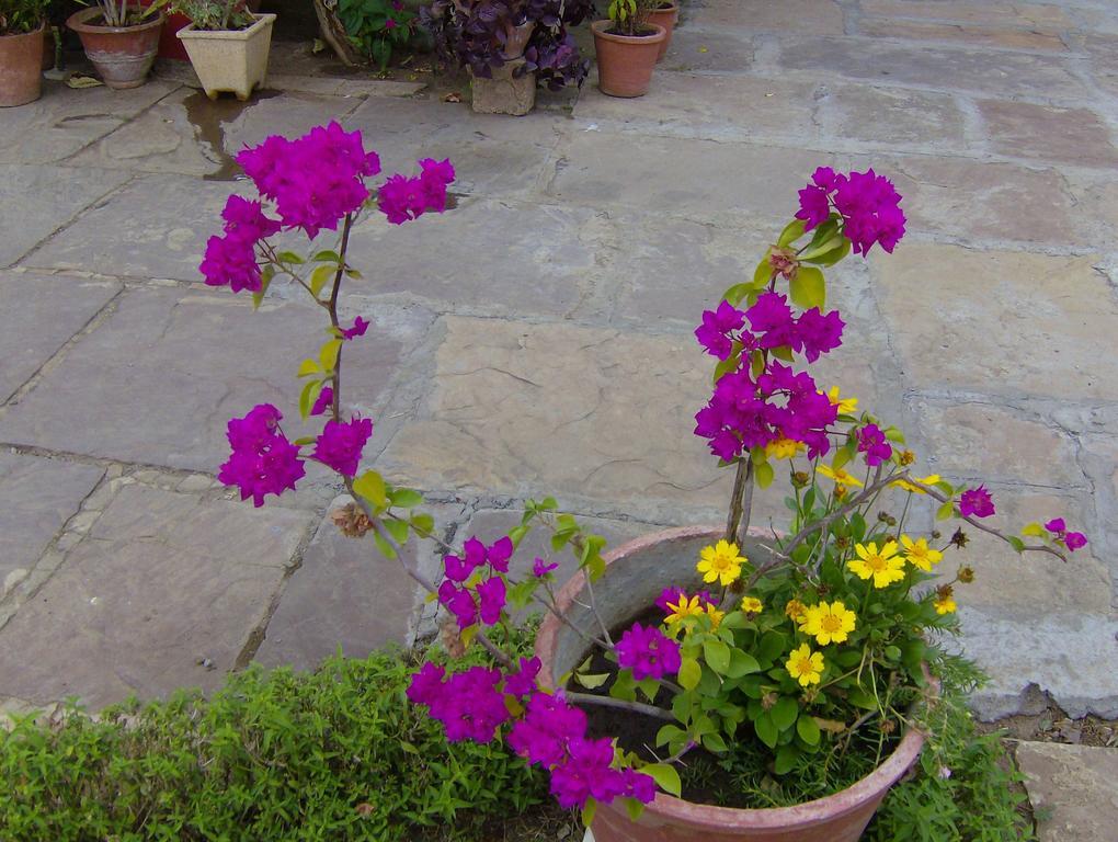 Jheelam Homestay Bhopal Ngoại thất bức ảnh
