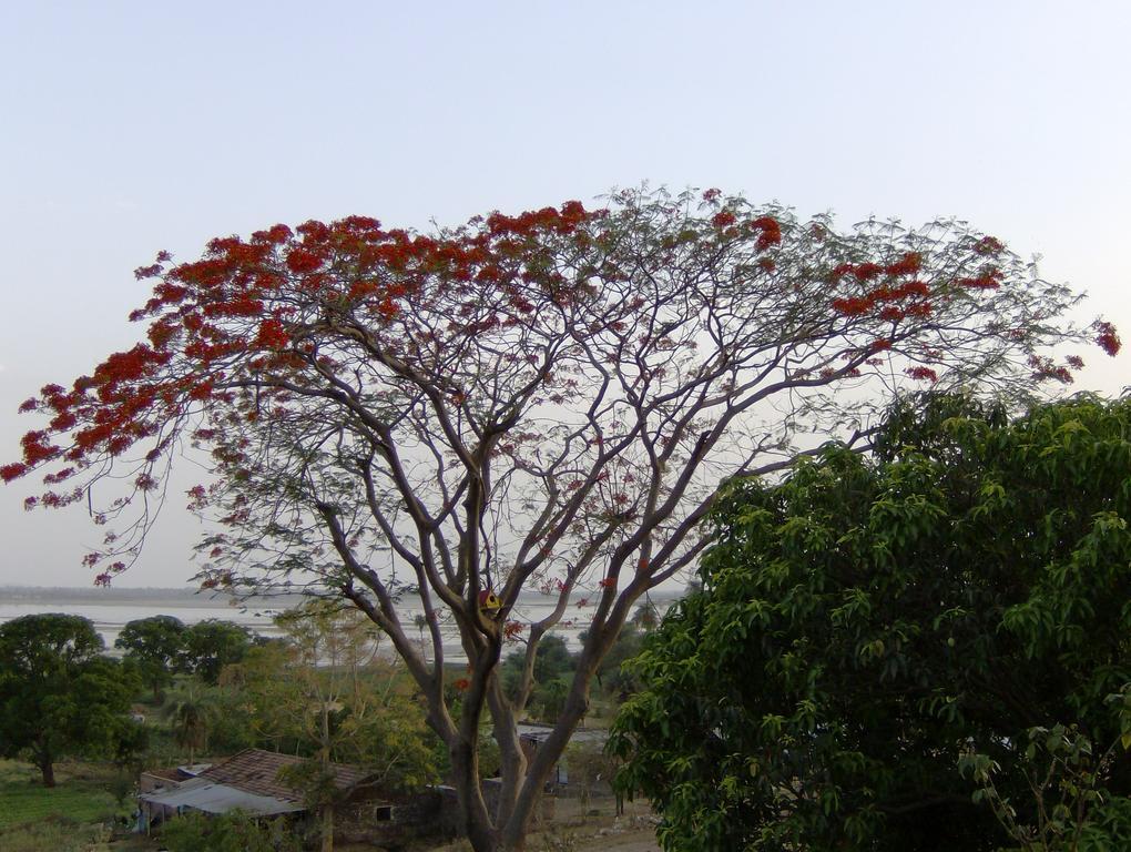 Jheelam Homestay Bhopal Ngoại thất bức ảnh