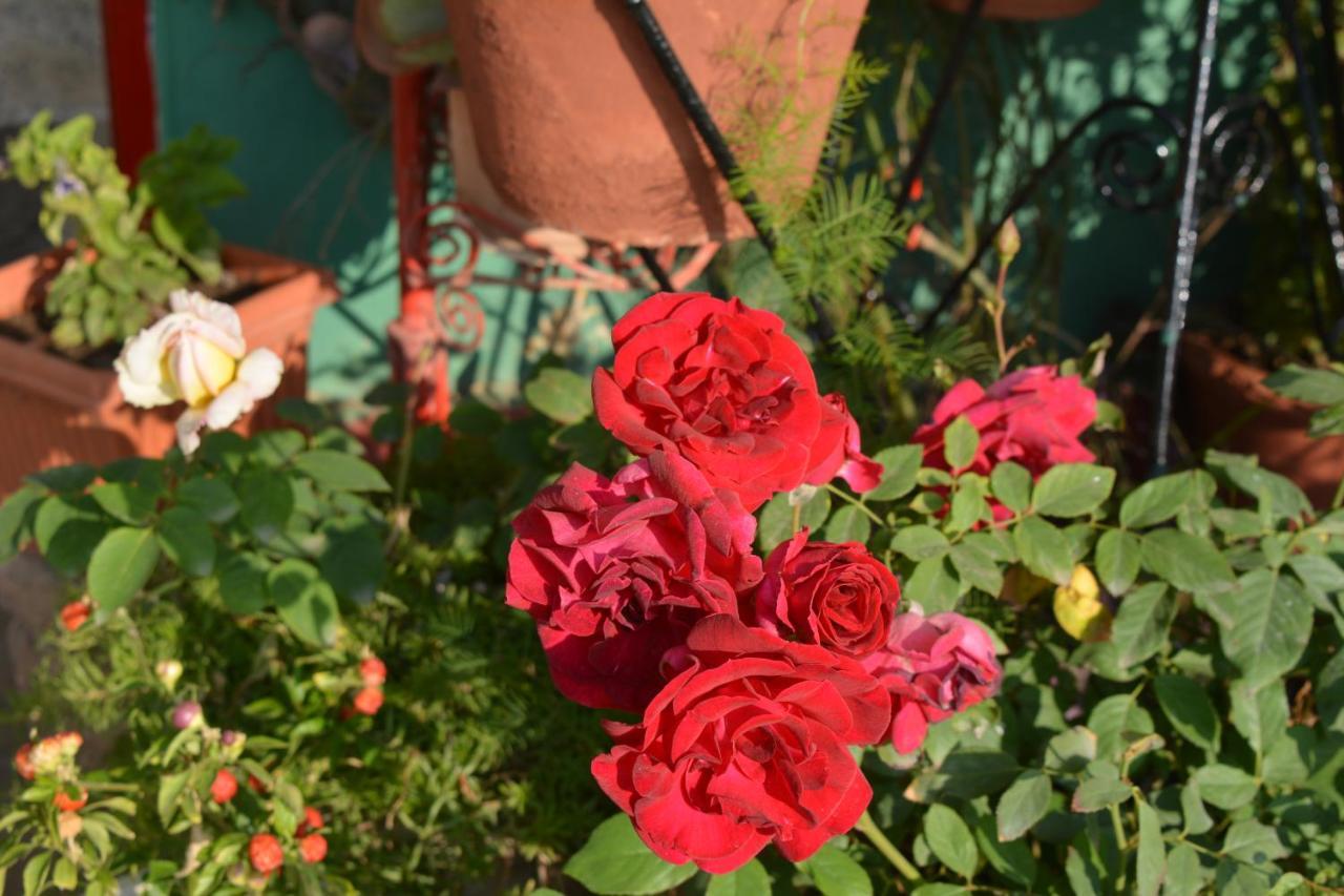 Jheelam Homestay Bhopal Ngoại thất bức ảnh